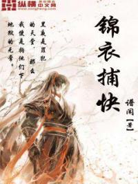 锦衣捕快 锦衣捕快