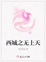 西城之无上天 西城之无上天
