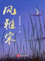 风雅宋 风雅宋