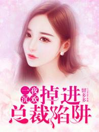 一夜沉欢:掉进总裁陷阱 一夜沉欢:掉进总裁陷阱
