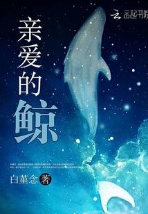 亲爱的鲸 亲爱的鲸